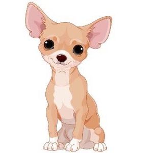 Meet your Posher, Elvis